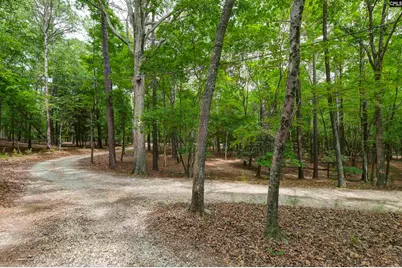 2031 Wash Lever Road, Little Mountain, SC 29075 - Photo 45