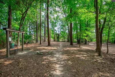 407 Hampton Forest Drive, Columbia, SC 29209 - Photo 47