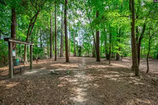 407 Hampton Forest Drive, Columbia, SC 29209 - Photo 47