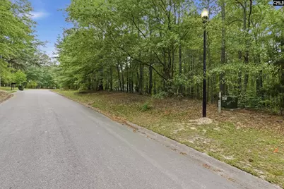 201 Ashley Oaks Drive, Blythewood, SC 29016 - Photo 3