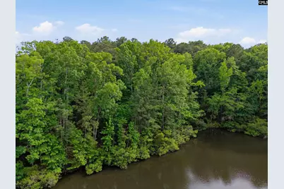 201 Ashley Oaks Drive, Blythewood, SC 29016 - Photo 7