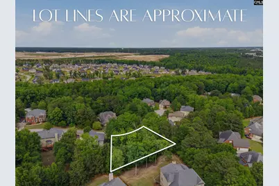 612 Winding Hickory Court, Blythewood, SC 29016 - Photo 9