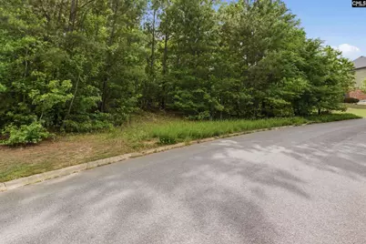 612 Winding Hickory Court, Blythewood, SC 29016 - Photo 3