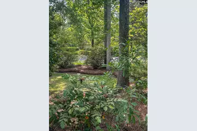 133 Tarrar Springs Road, Lexington, SC 29072 - Photo 29
