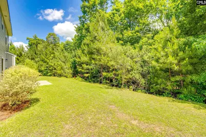 72 Black Kettle Court, Blythewood, SC 29016 - Photo 35
