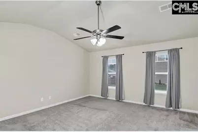 1228 Cypress Valley Drive, Chapin, SC 29036 - Photo 19