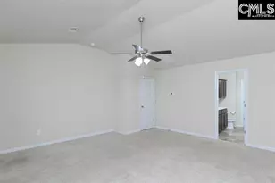 1228 Cypress Valley Dr, Chapin, SC 29036 - Photo 23