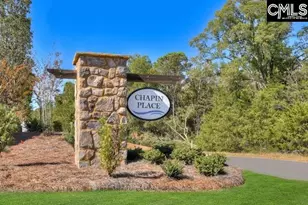 720 Feldspar Ct, Chapin, SC 29036 - Photo 5