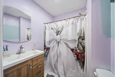 10 Whiteside Circle, West Columbia, SC 29169 - Photo 11