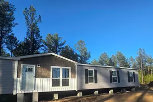 343 Otis Baughman Sr Rd, Wagener, SC 29164 - Photo 11