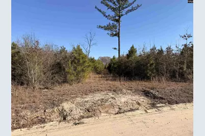 0 Proctor Road, Cope, SC 29038 - Photo 9