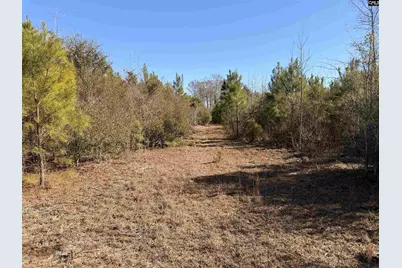 0 Proctor Road, Cope, SC 29038 - Photo 11