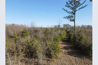 0 Proctor Road, Cope, SC 29038 - Photo 5