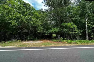 410 Boy Scout Road Rd, Gaston, SC 29053 - Photo 1