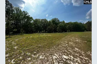 410 Boy Scout Road Road #Parcel B, Gaston, SC 29053 - Photo 3