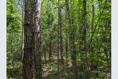 Jewel Drive, Winnsboro, SC 29180 - Photo 15