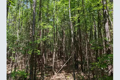 Jewel Drive, Winnsboro, SC 29180 - Photo 3