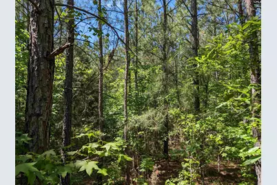 Jewel Drive, Winnsboro, SC 29180 - Photo 13