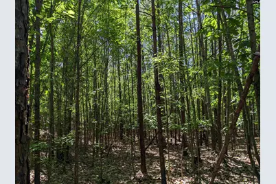 Jewel Drive, Winnsboro, SC 29180 - Photo 17
