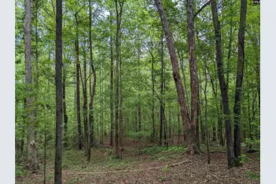Syrup Mill Road, Ridgeway, SC 29130 - Photo 11