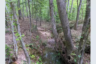 Syrup Mill Road, Ridgeway, SC 29130 - Photo 25