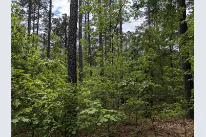 Syrup Mill Road, Ridgeway, SC 29130 - Photo 19