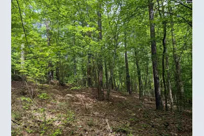 Syrup Mill Road, Ridgeway, SC 29130 - Photo 27