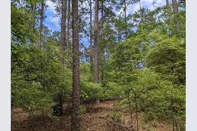 Syrup Mill Road, Ridgeway, SC 29130 - Photo 3