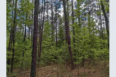 Syrup Mill Road, Ridgeway, SC 29130 - Photo 21