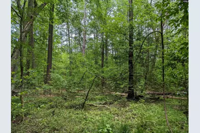 Syrup Mill Road, Ridgeway, SC 29130 - Photo 15