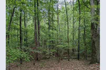 Syrup Mill Road, Ridgeway, SC 29130 - Photo 13