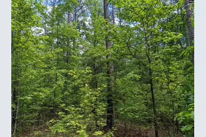 Syrup Mill Road, Ridgeway, SC 29130 - Photo 23