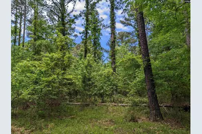 Syrup Mill Road, Ridgeway, SC 29130 - Photo 7