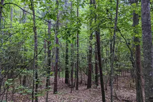 Syrup Mill Rd, Ridgeway, SC 29130 - Photo 1