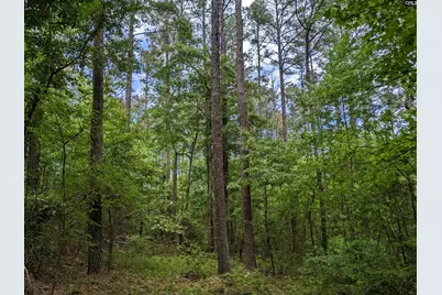 Syrup Mill Road, Ridgeway, SC 29130 - Photo 9