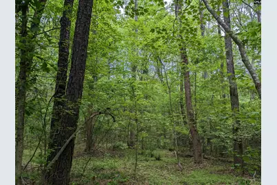 Syrup Mill Road, Ridgeway, SC 29130 - Photo 17