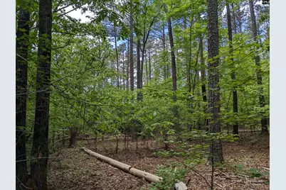 Syrup Mill Road, Ridgeway, SC 29130 - Photo 29