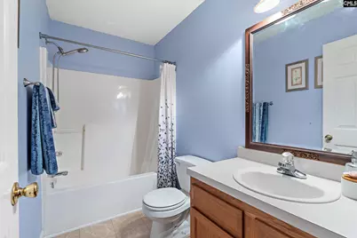 209 Caddis Creek Crossroad, Irmo, SC 29063 - Photo 17
