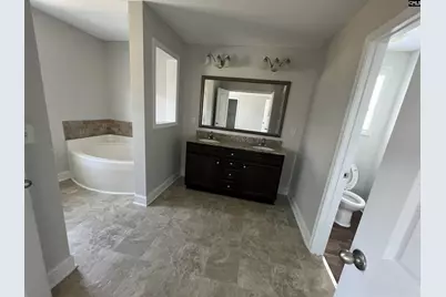 250 Meadow Saffron Drive, Lexington, SC 29073 - Photo 5