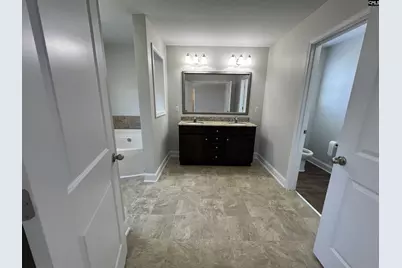 250 Meadow Saffron Drive, Lexington, SC 29073 - Photo 11