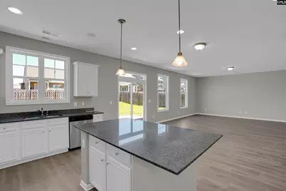 32 Texas Black Way, Elgin, SC 29045 - Photo 9