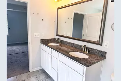 412 Maria Posada, Chapin, SC 29036 - Photo 15