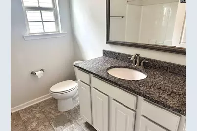 412 Maria Posada, Chapin, SC 29036 - Photo 23
