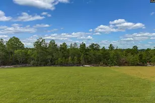 523 Blue Jay Wy, Lexington, SC 29073 - Photo 7