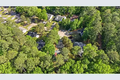 164 Thames Valley Court, Irmo, SC 29063 - Photo 31