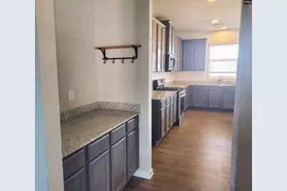747 Spring Cress Drive, Lexington, SC 29073 - Photo 3
