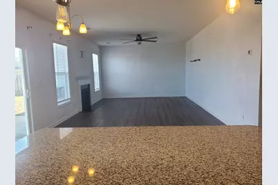 747 Spring Cress Drive, Lexington, SC 29073 - Photo 7