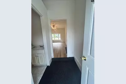 204 Haleywood Lane, West Columbia, SC 29170 - Photo 33