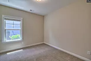 724 Xander Wy, Chapin, SC 29036 - Photo 19