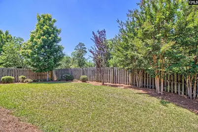 724 Xander Way, Chapin, SC 29036 - Photo 25